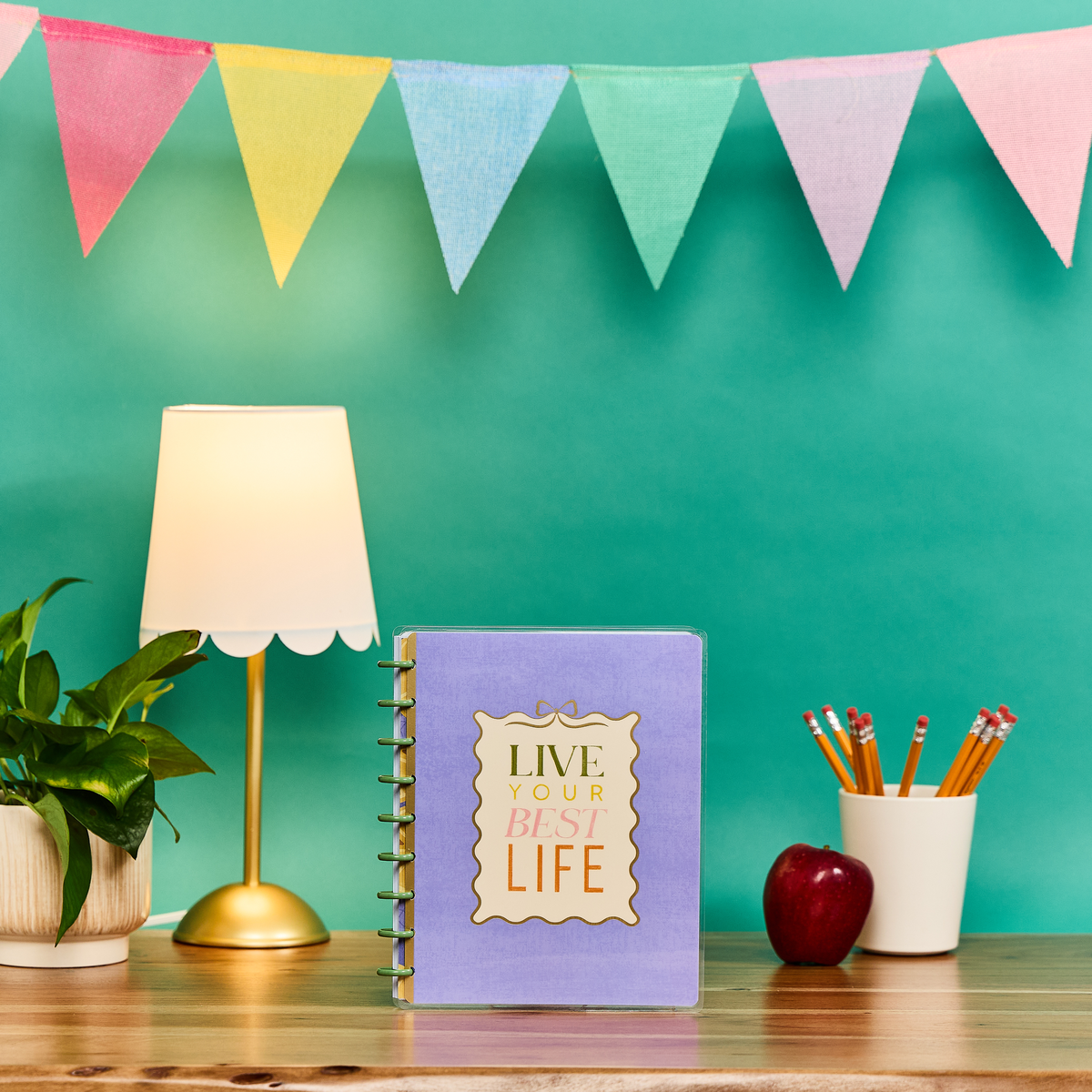 Fruit Stand Teacher - Dotted Lined + Dot Grid Classic Notebook - 60 Sheets
