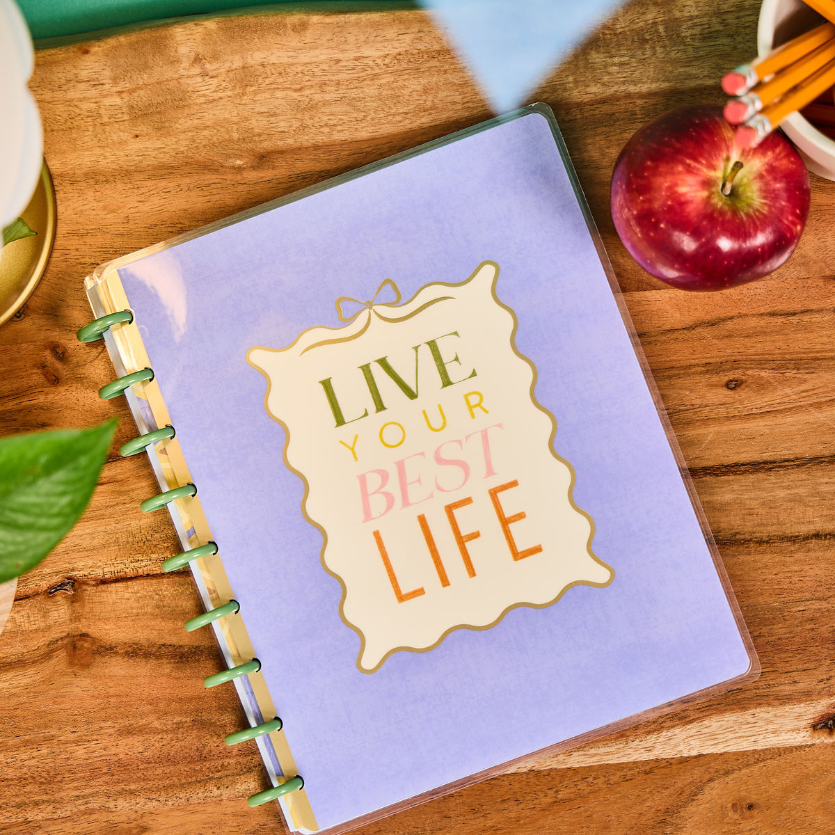Fruit Stand Teacher - Dotted Lined + Dot Grid Classic Notebook - 60 Sheets