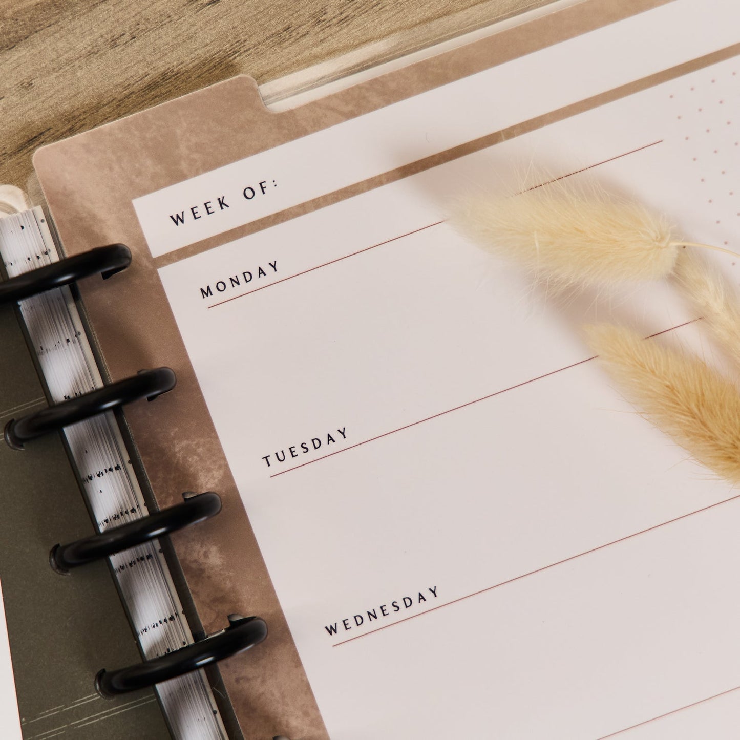 Modern Charm - Big Planner Companion