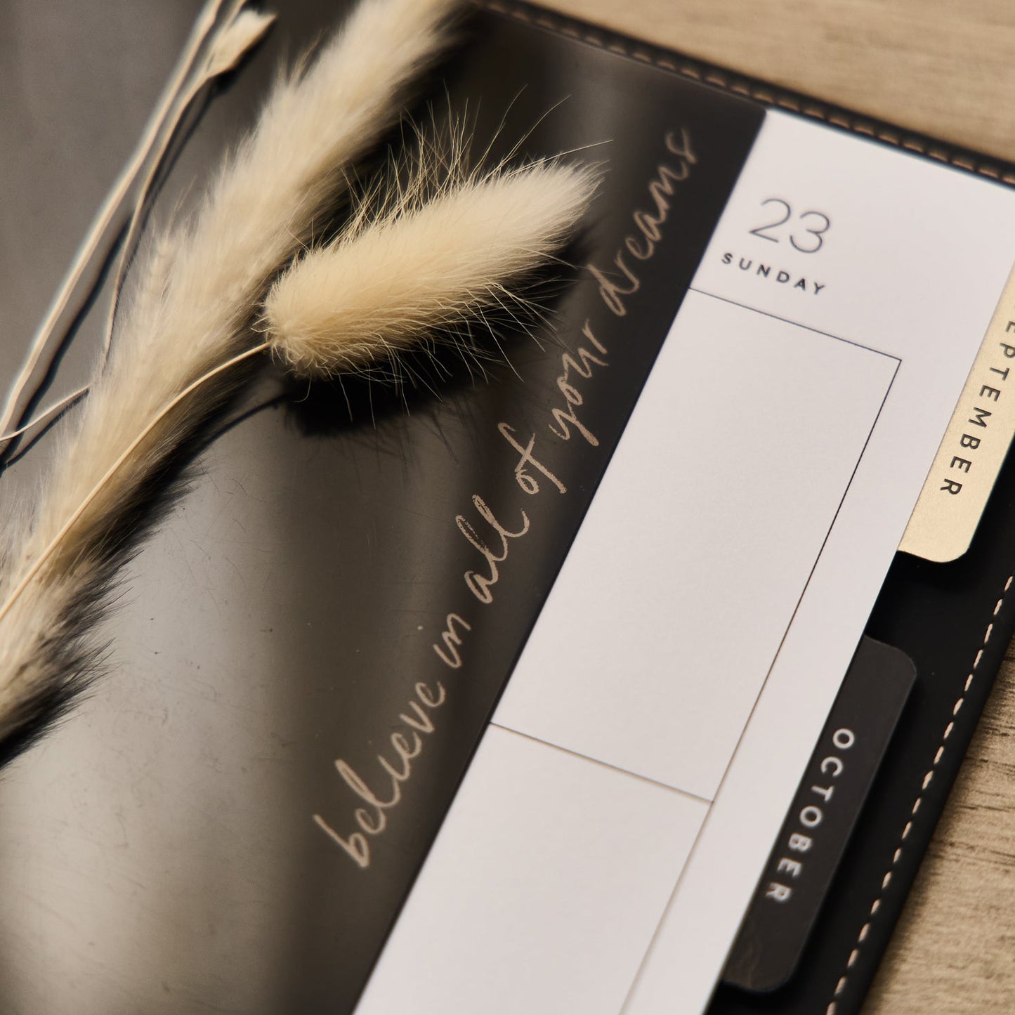 Modern Charm - Classic Dashboard