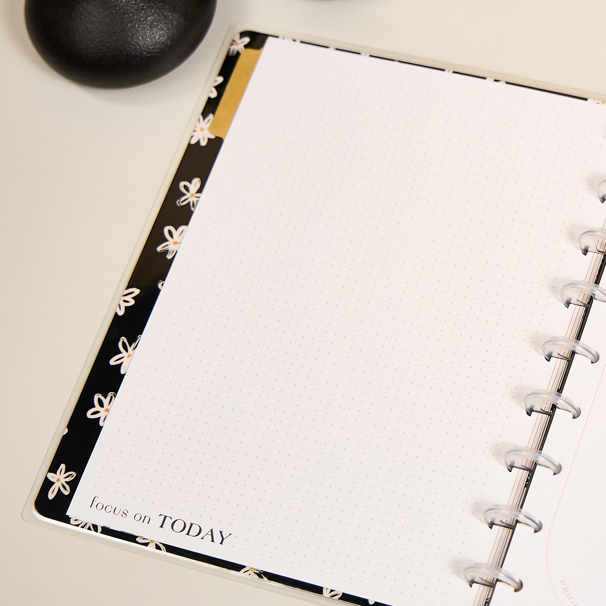 Modern Craft - Dashboard + Dot Grid Classic Filler Paper - 40 Sheets