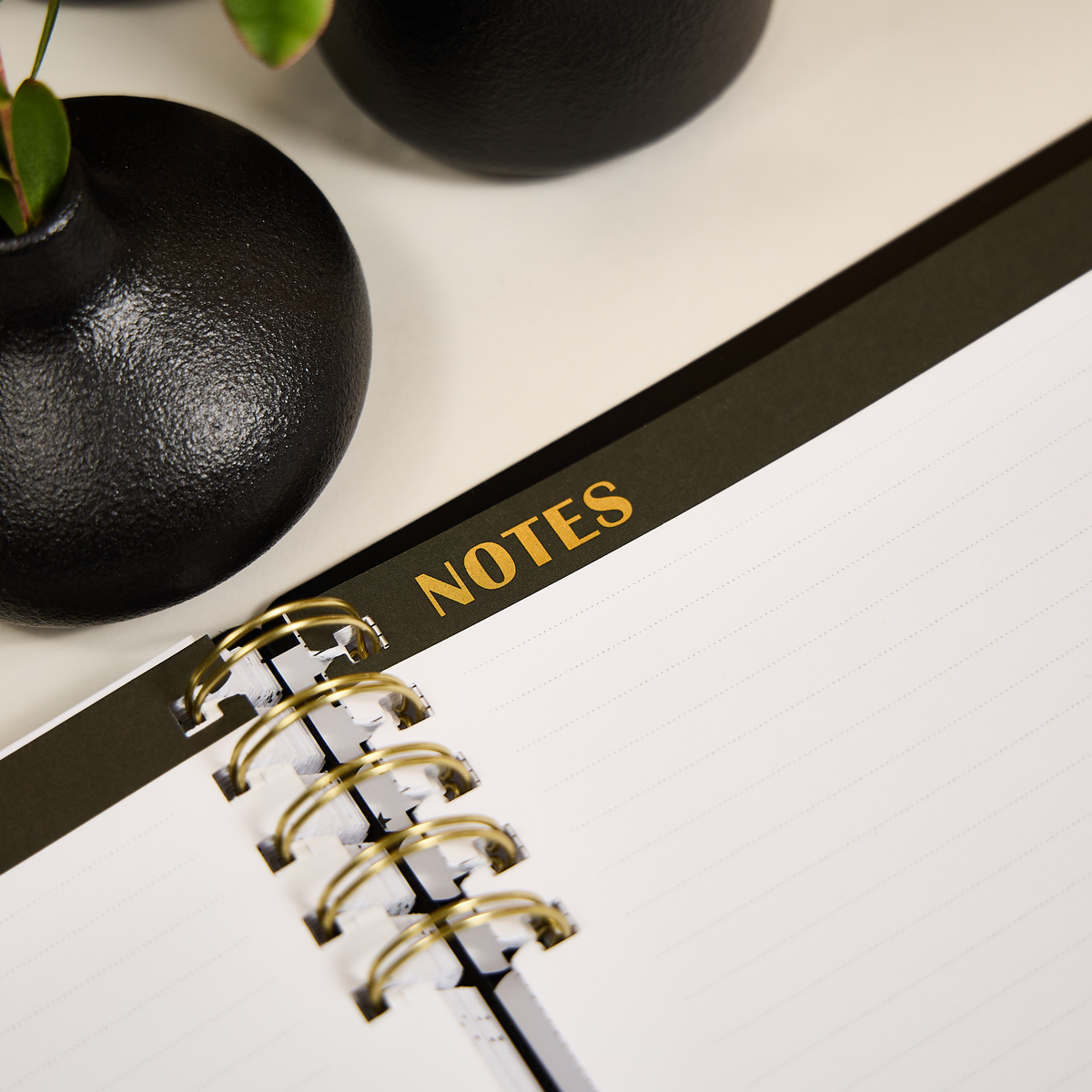 Mod Sketches - Dotted Lined Classic Customizable Spiral Filler Paper - 40 Sheets