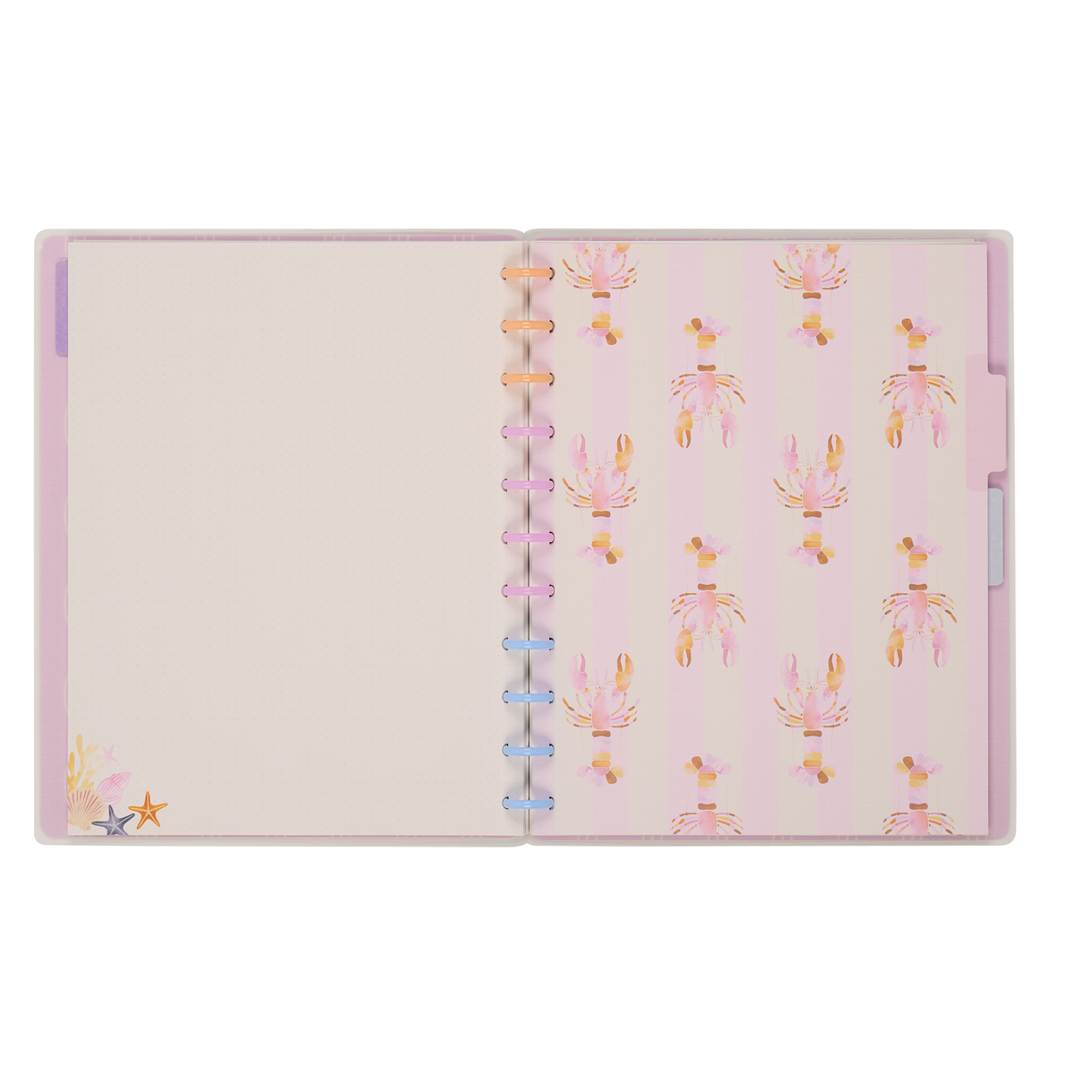 Shell Yeah! - Dotted Lined + Dot Grid Big Notebook - 60 Sheets