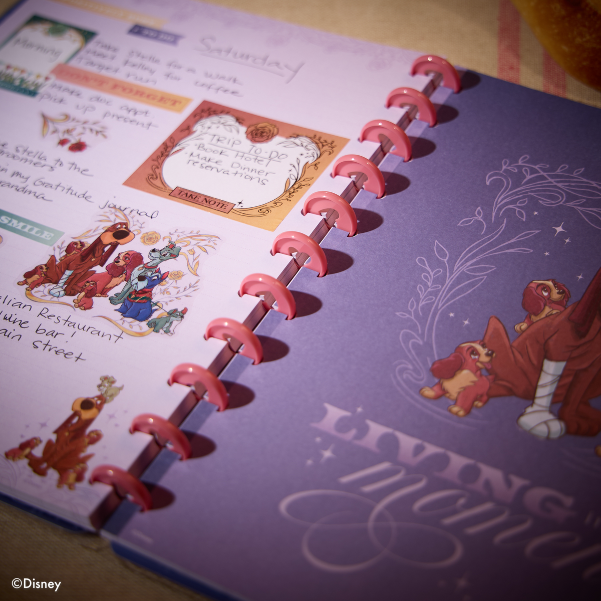 Disney Lady & The Tramp - Dotted Lined Big Notebook - 60 Sheets