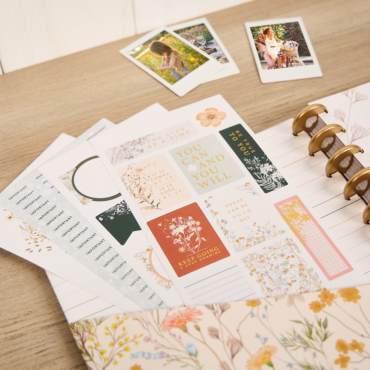 Spring Fields - Big Accessory Pack