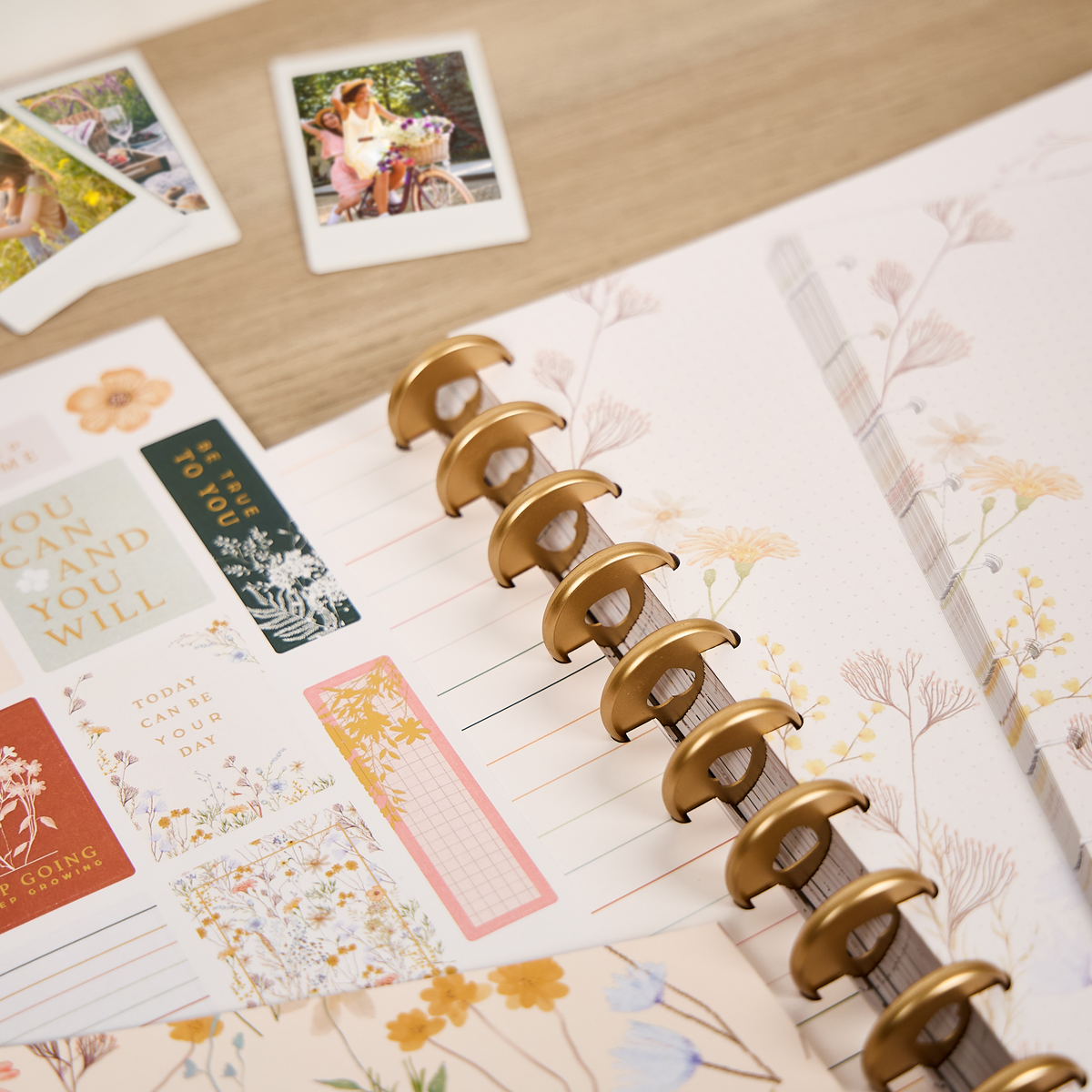 Spring Fields - Big Accessory Pack