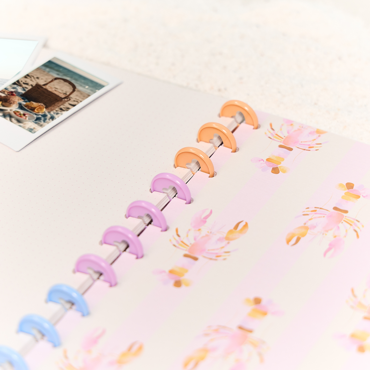 Shell Yeah! - Dotted Lined + Dot Grid Big Notebook - 60 Sheets