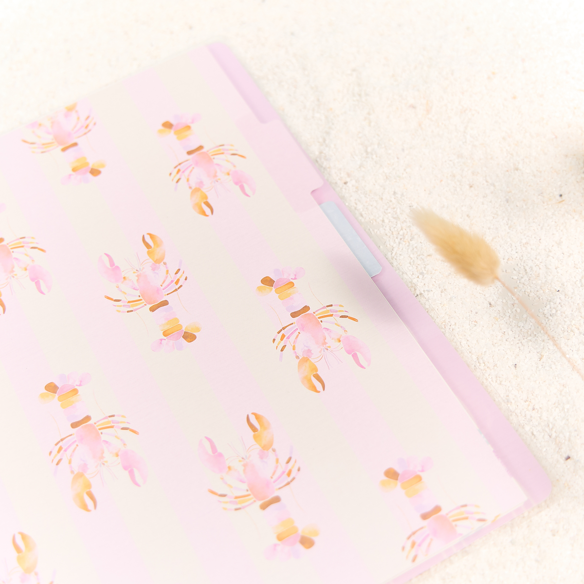 Shell Yeah! - Dotted Lined + Dot Grid Big Notebook - 60 Sheets