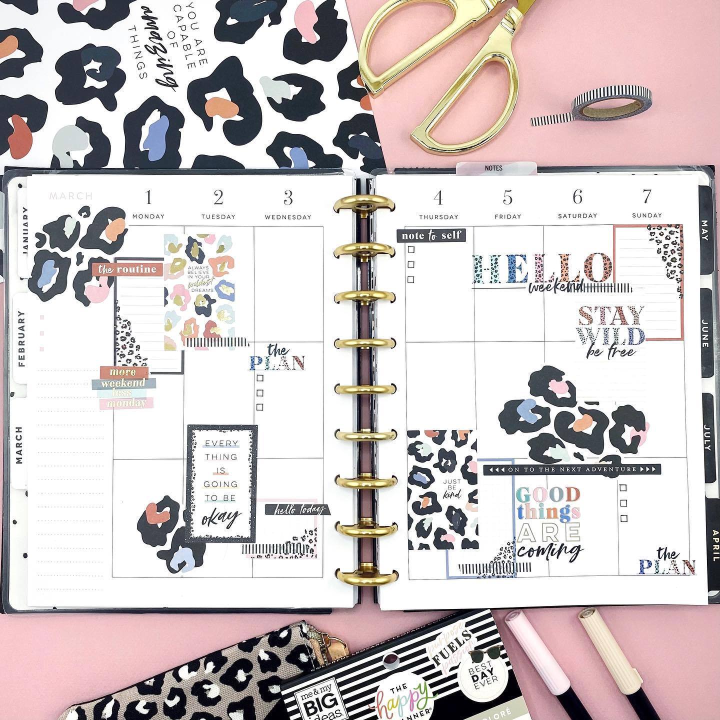 Value Pack Stickers - Colorful Leopard