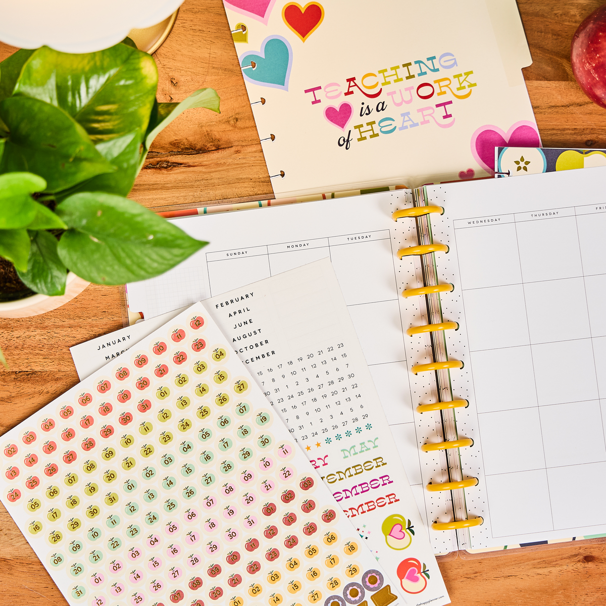 Mod Teacher - Classic Teacher Extension Pack - 6 Months