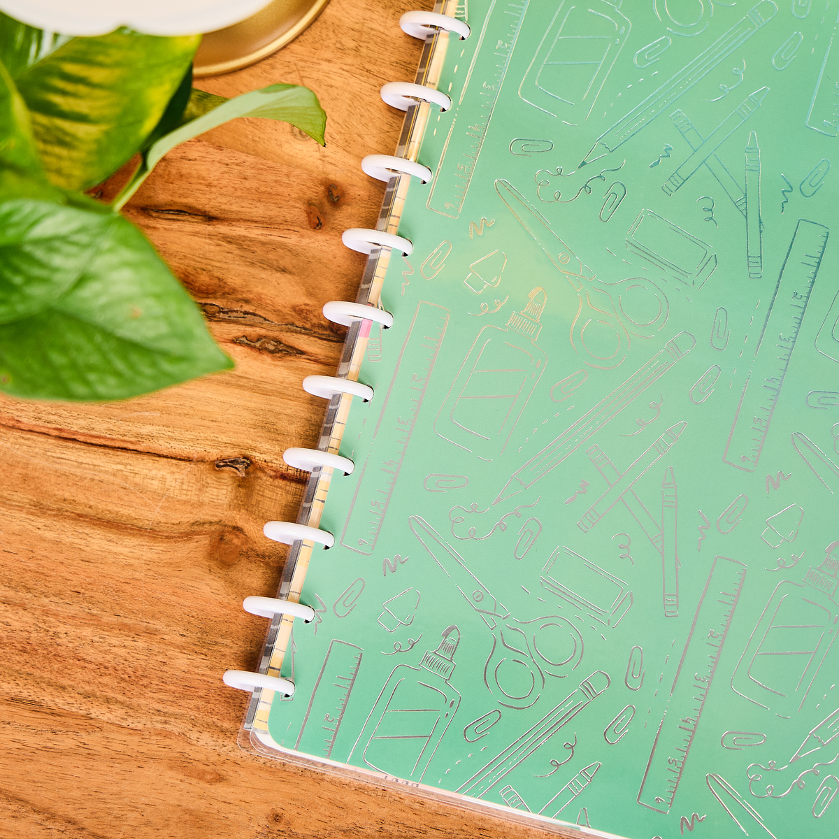 Pawsitive Teacher - Dotted Lined Big Notebook - 60 Sheets