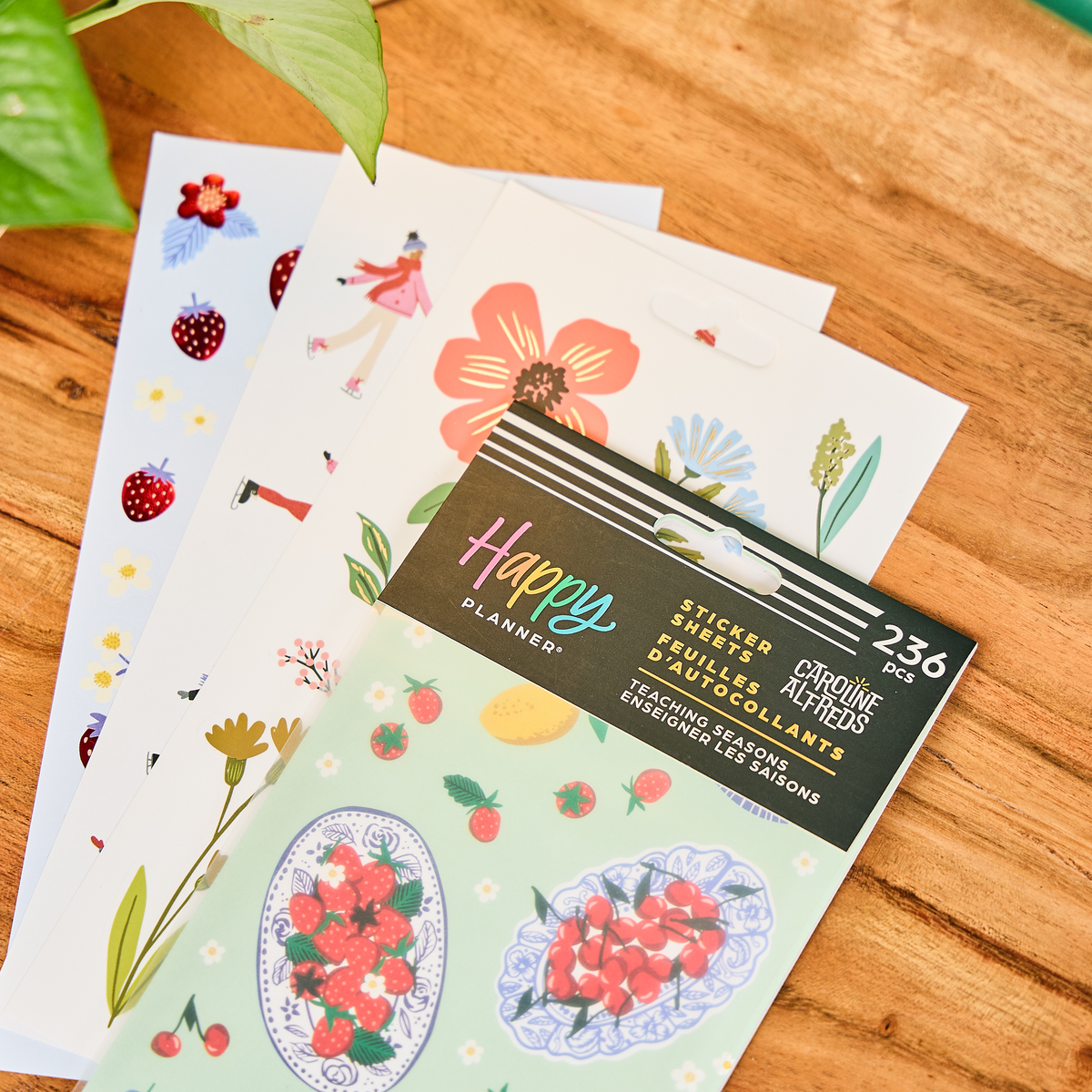 Teaching Seasons - 10 Sticker Sheets
