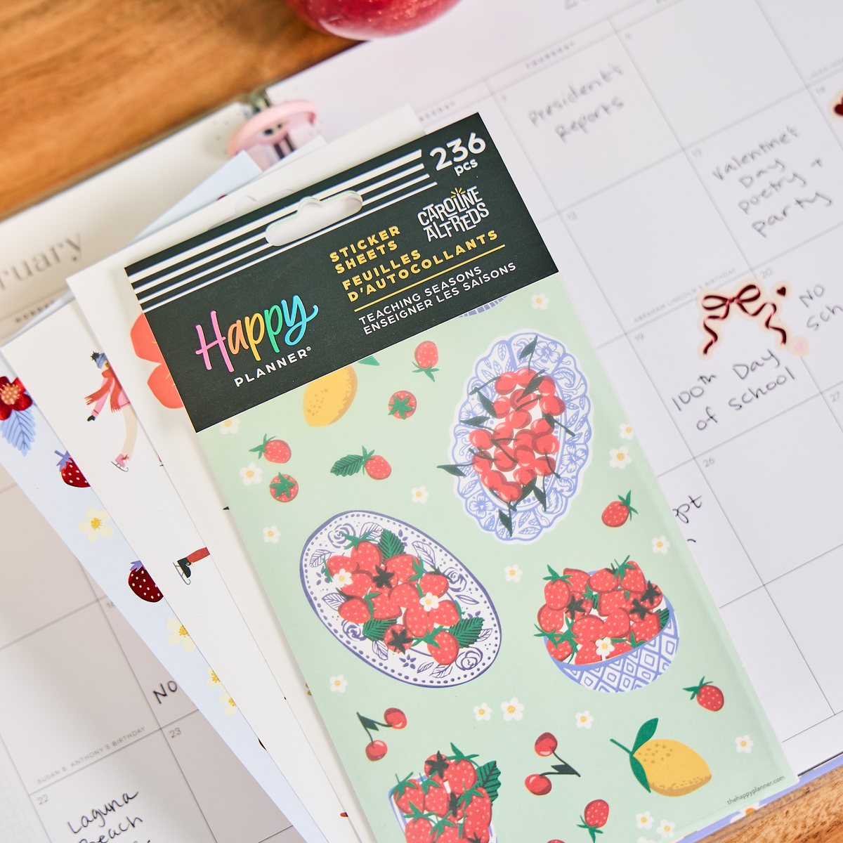 Teaching Seasons - 10 Sticker Sheets