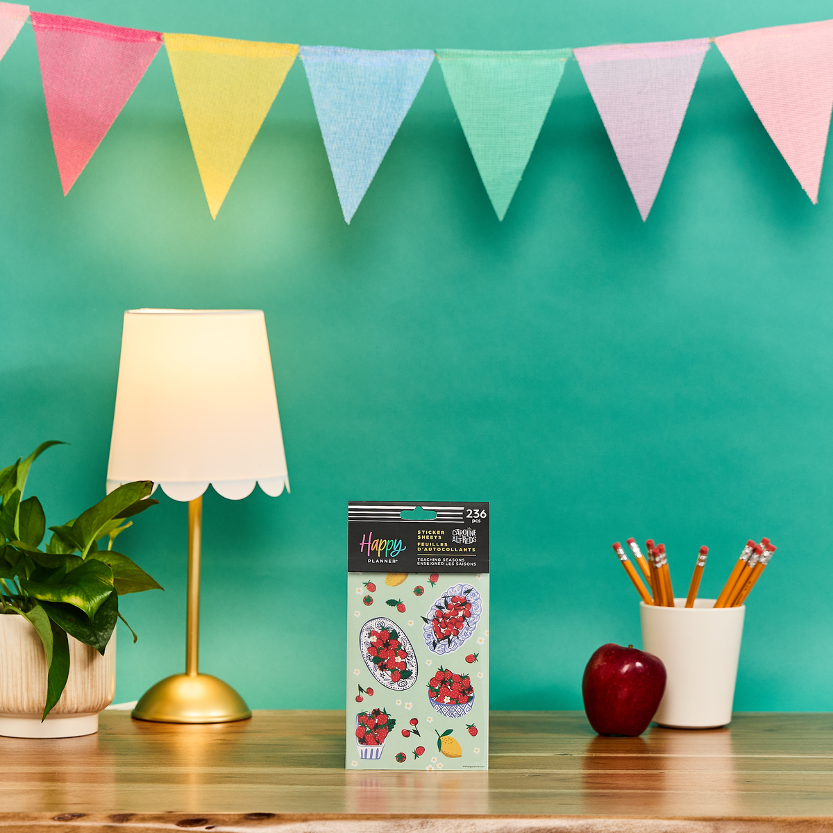 Teaching Seasons - 10 Sticker Sheets