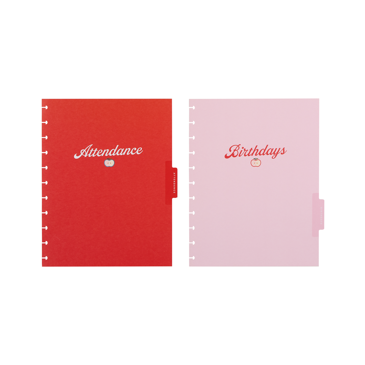 Mod Teacher - Student Attendance & Birthdays - Big Accessory Pack