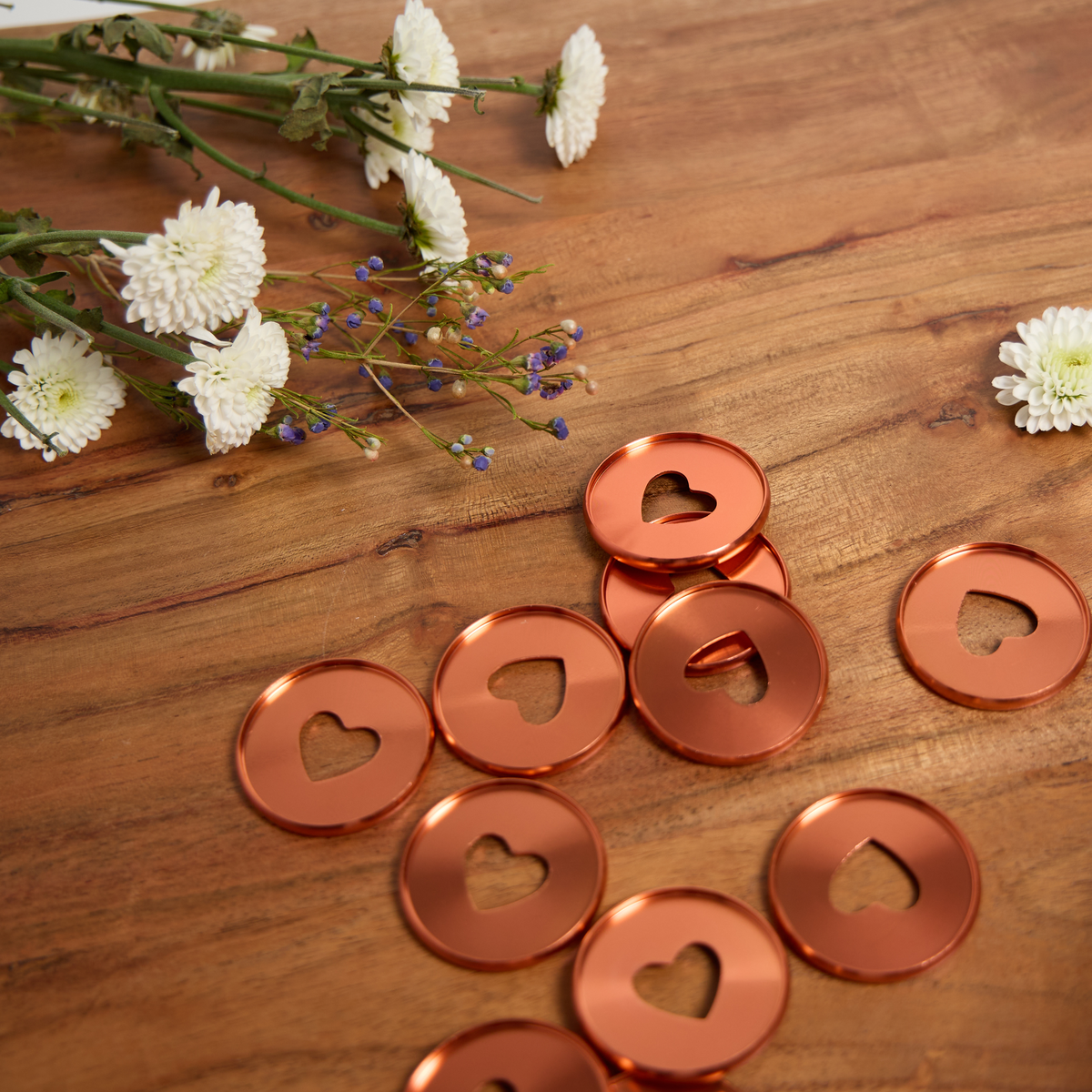 Coral - Expander Metal Disc Set