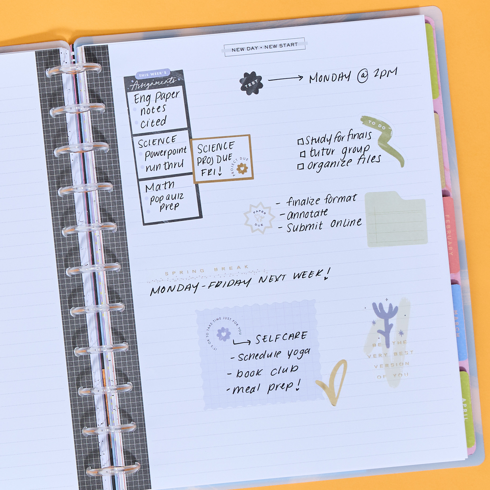 Aesthetique Teacher - Dotted Lined Big Filler Paper - 40 Sheets