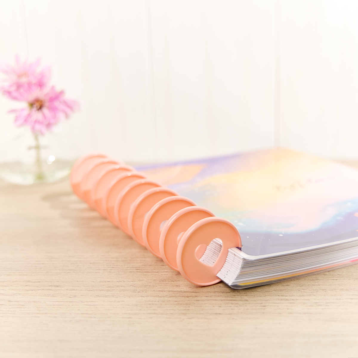 Blush - Expander Plastic Disc Set