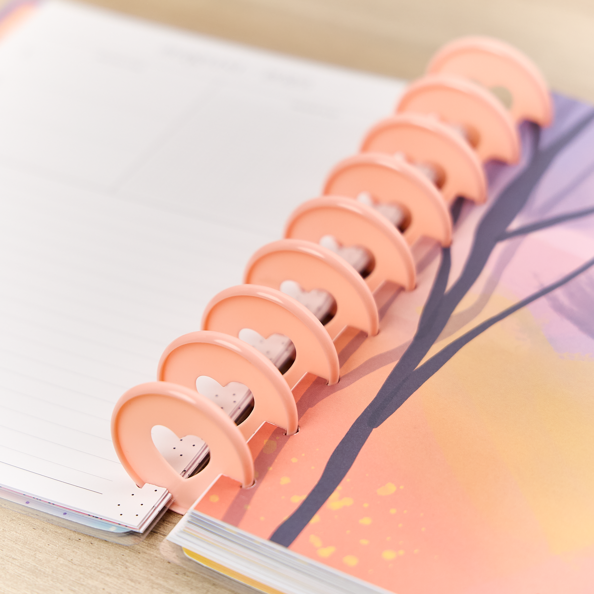 Blush - Expander Plastic Disc Set