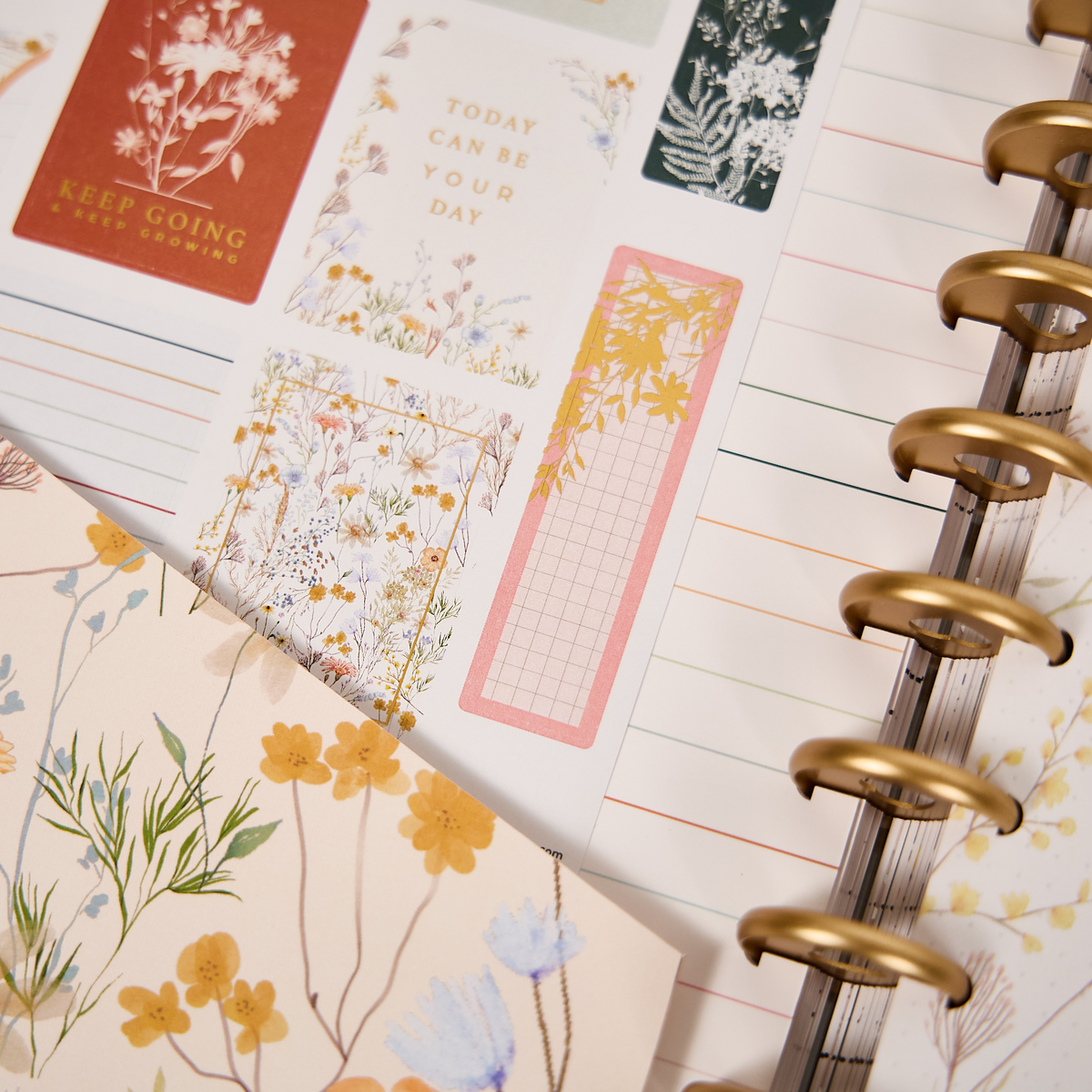 Spring Fields - Big Accessory Pack