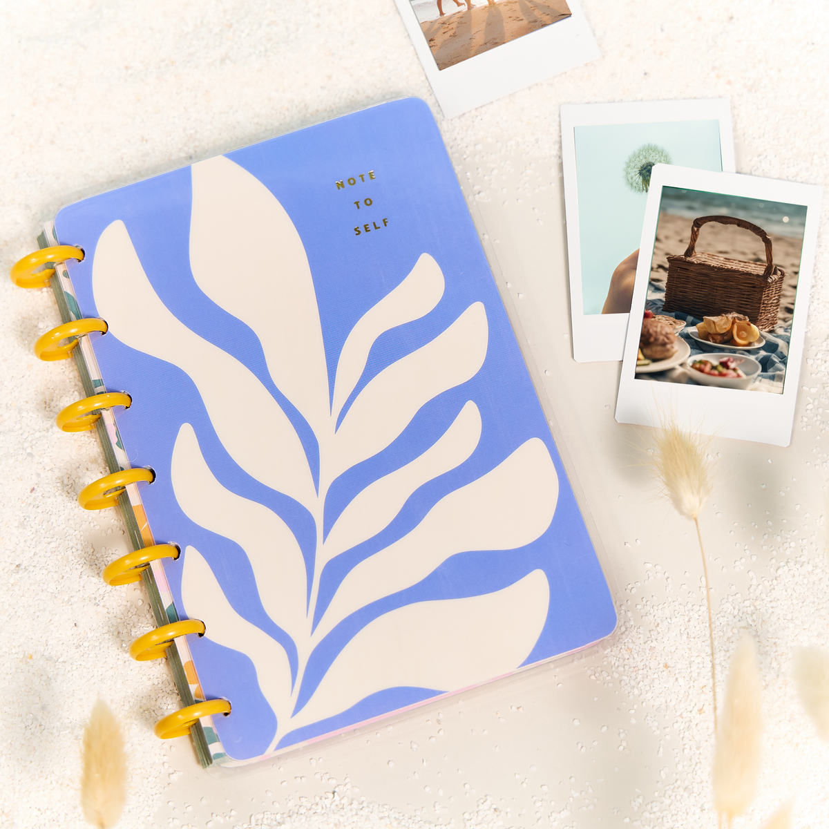 In the Moment - Dotted Lined Mini Notebook - 60 Sheets