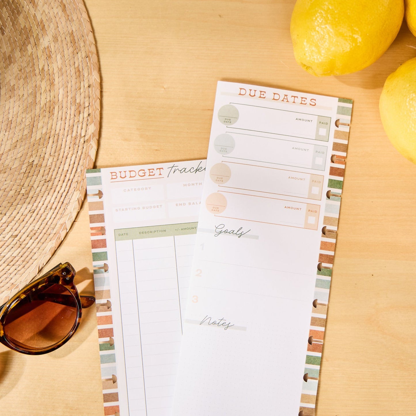 Sage & Terracotta Budget - Budget Classic Filler Paper - 40 Sheets