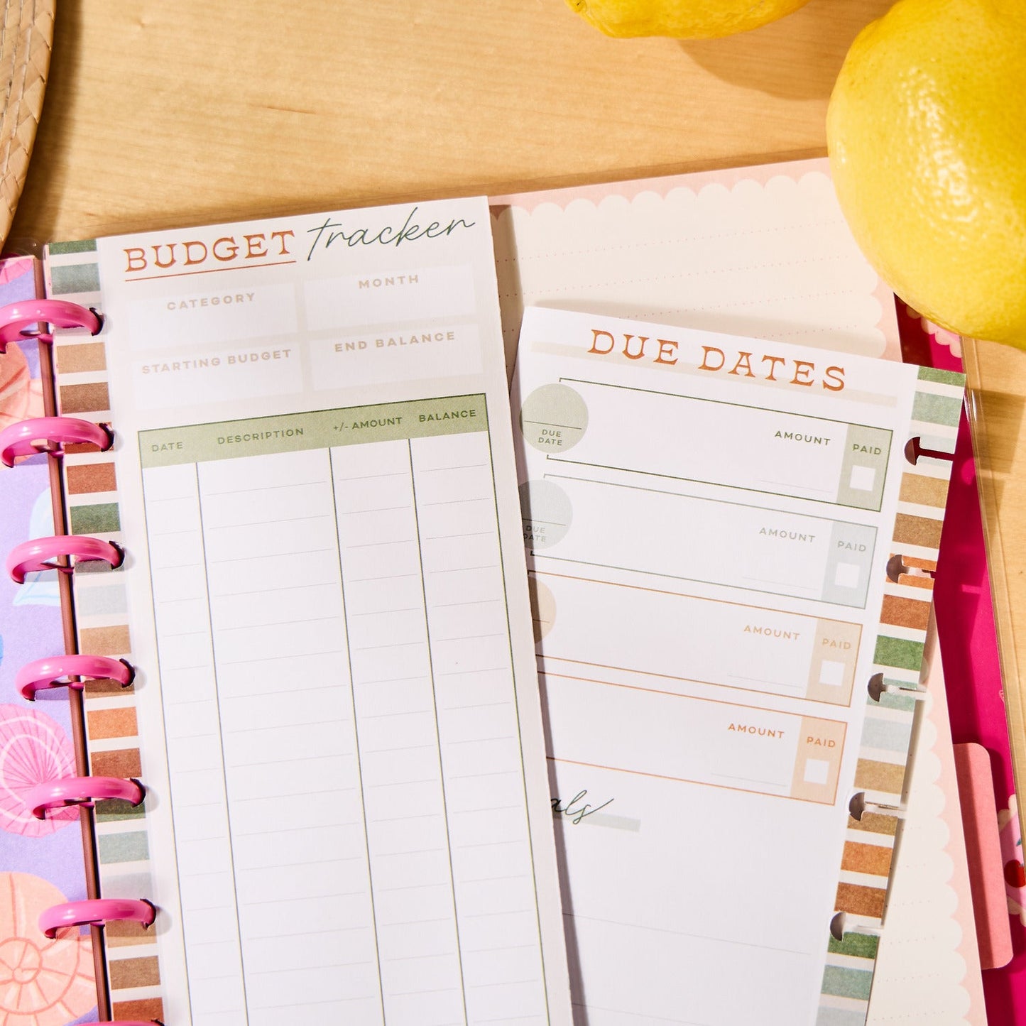 Sage & Terracotta Budget - Budget Classic Filler Paper - 40 Sheets