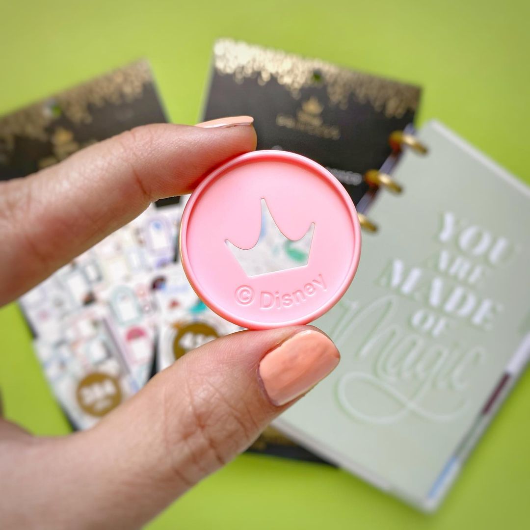 Disney © Princess Pink Crown Medium Plastic Disc Set